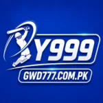 y999 game