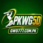 pkwg5d game