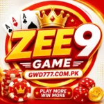 zee9 game